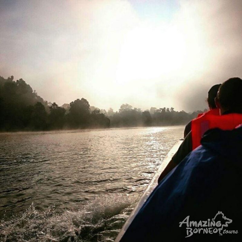 Kinabatangan Adventure